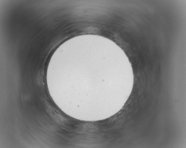 X0000073870146200608312101