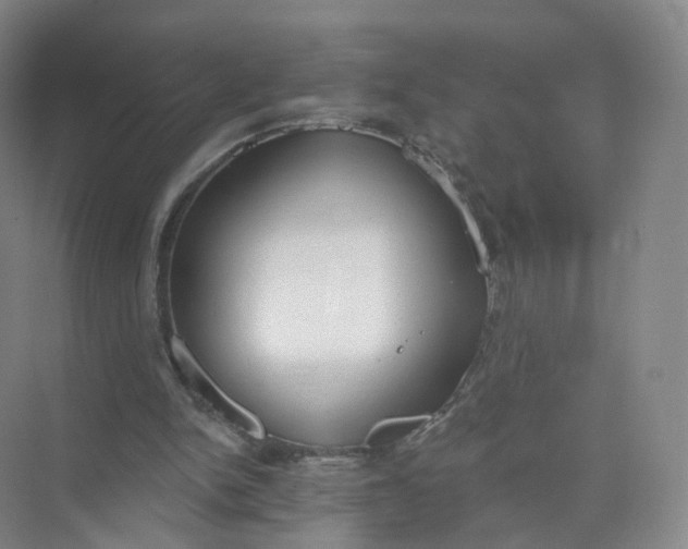 X0000073870150200608312101