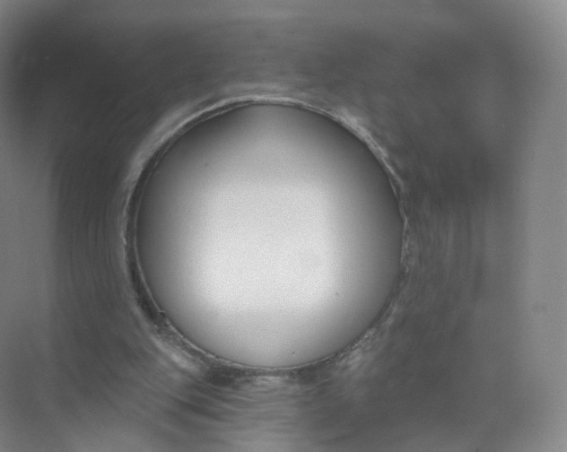 X0000073870151200608312101