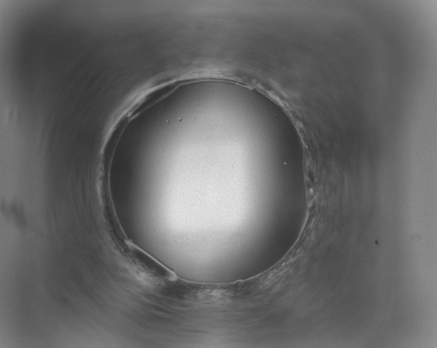 X0000073870152200608312101