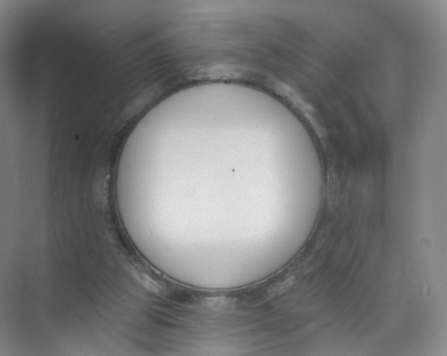 X0000073870153200608312101