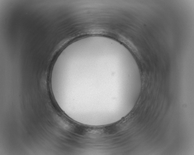 X0000073870155200608312101