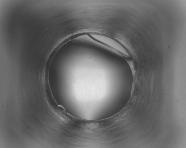 X0000073870156200608312101