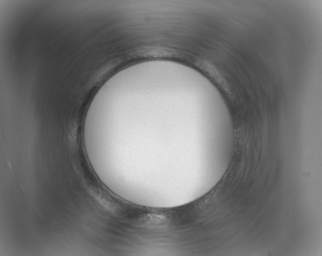 X0000073870159200608312101