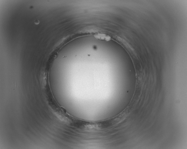 X0000073870160200608312101