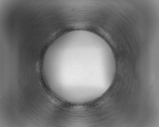 X0000073870161200608312101