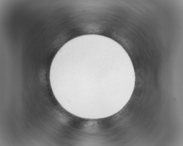 X0000073870162200608312101