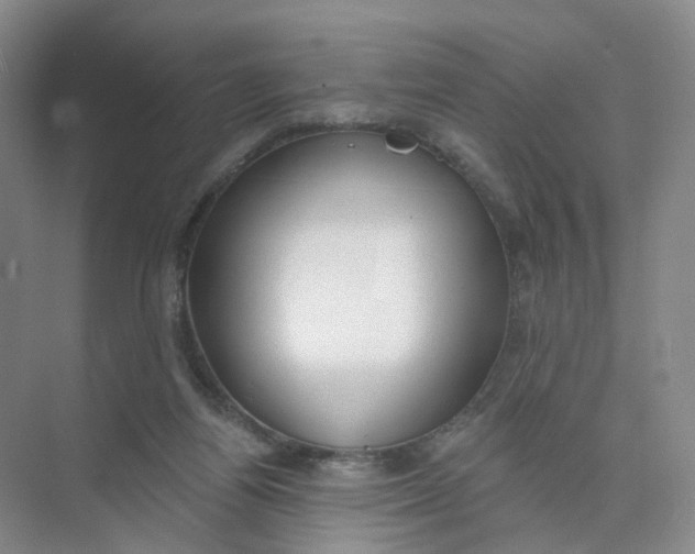 X0000073870164200608312102