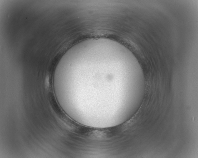 X0000073870166200608312102