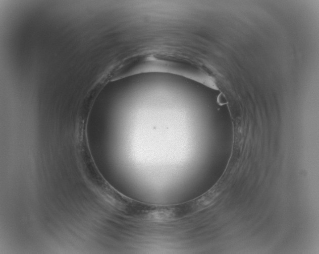 X0000073870168200608312102