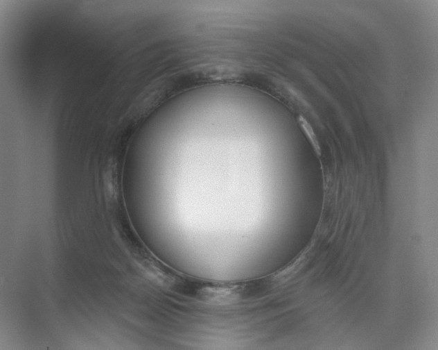 X0000073870170200608312102