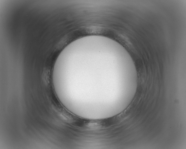 X0000073870171200608312102