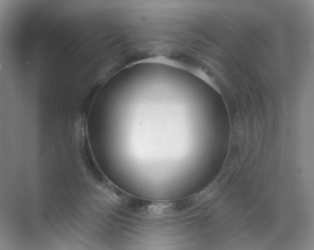 X0000073870172200608312102