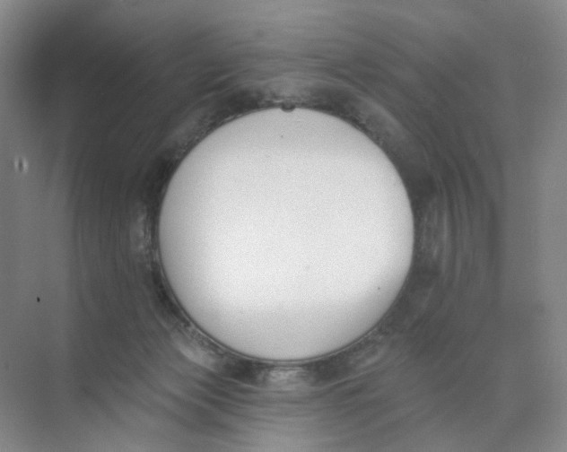 X0000073870173200608312102