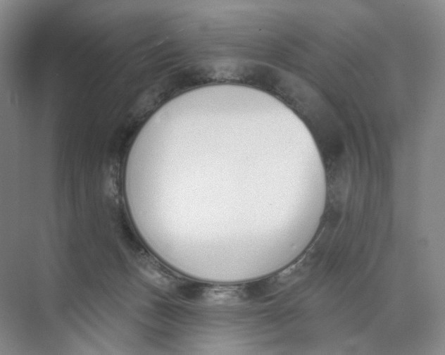 X0000073870175200608312102