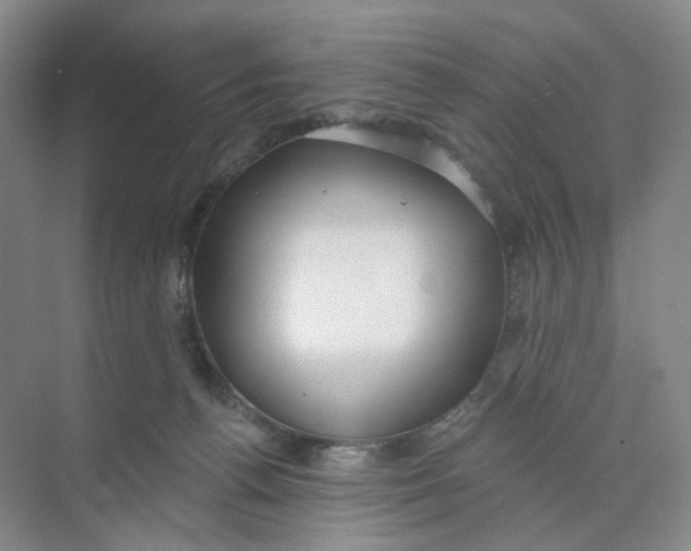 X0000073870176200608312102