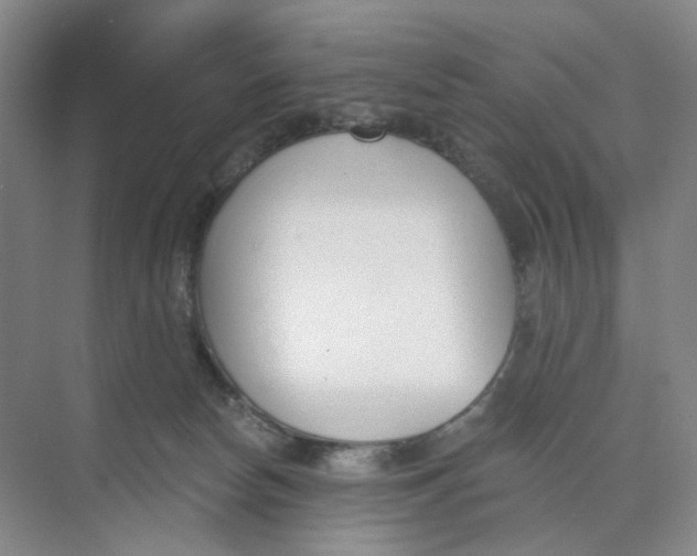 X0000073870178200608312102