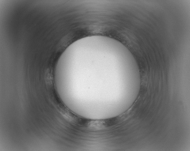 X0000073870179200608312102