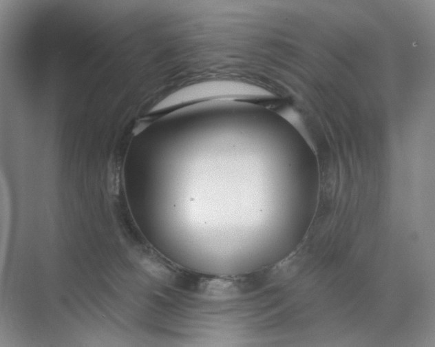 X0000073870180200608312102