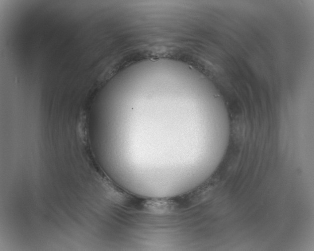 X0000073870181200608312102