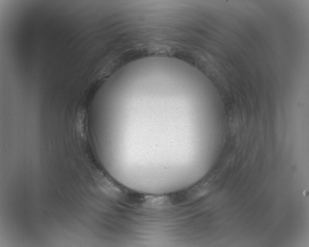 X0000073870185200608312102