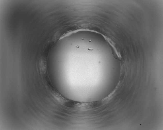 X0000073870186200608312102