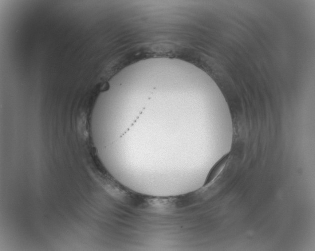 X0000073870187200608312102