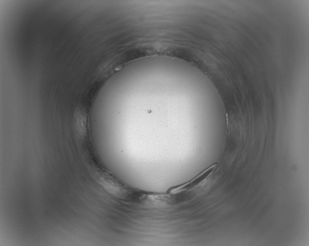 X0000073870188200608312102