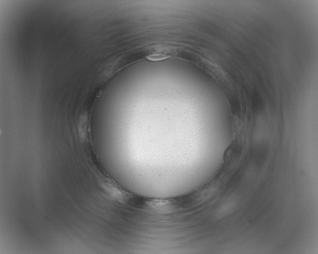 X0000073870189200608312102