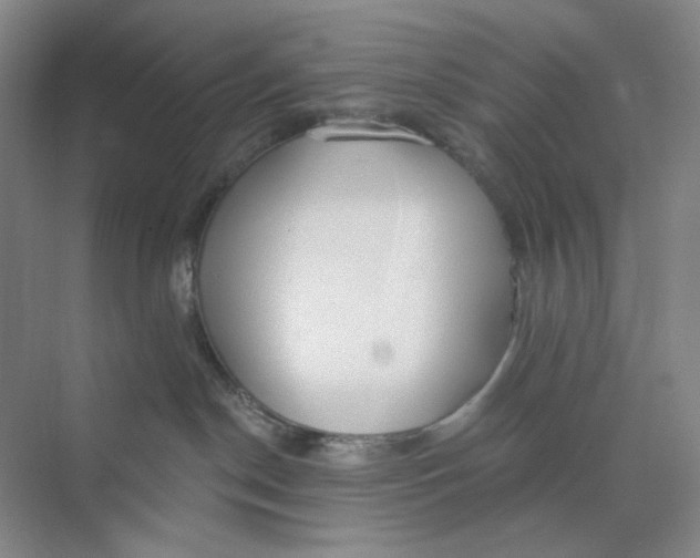 X0000073870190200608312102