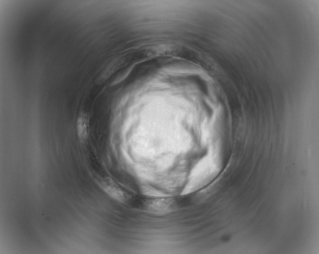 X0000073870191200608312102