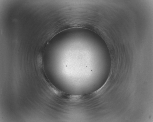 X0000073870192200608312102