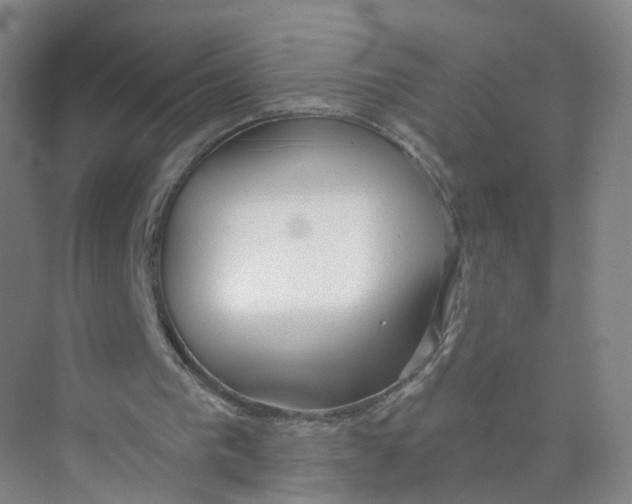 X0000073870193200608312101