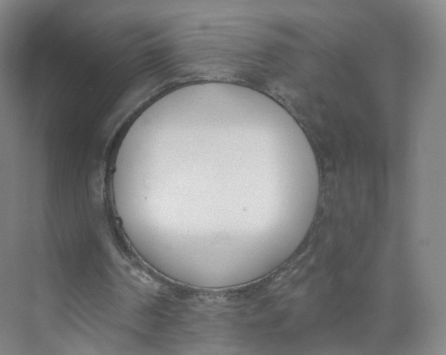 X0000073870194200608312101