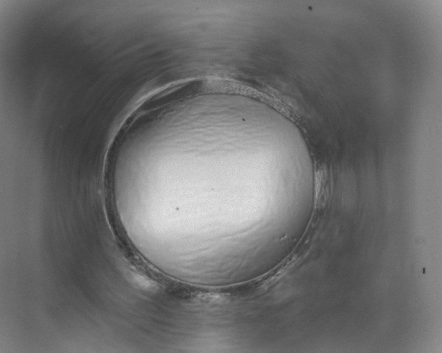 X0000073870195200608312101