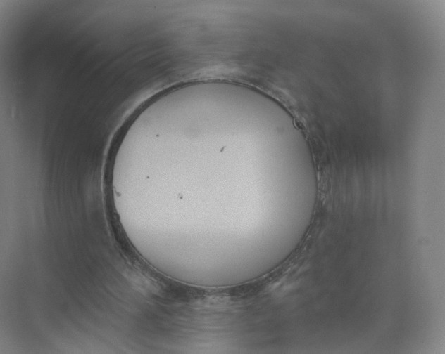 X0000073870196200608312101