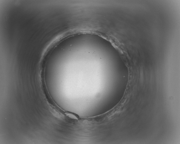 X0000073870197200608312101