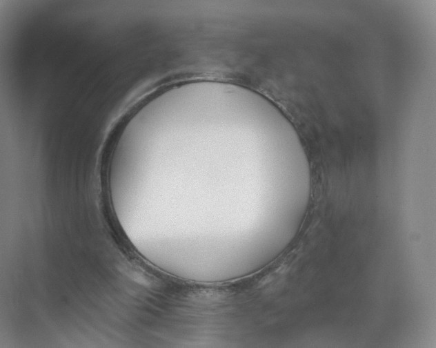 X0000073870198200608312101