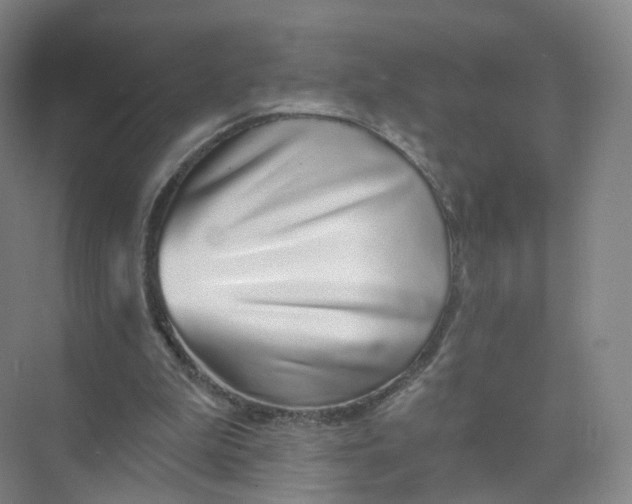 X0000073870199200608312101