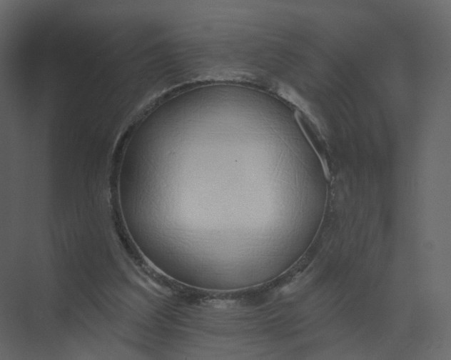 X0000073870203200608312101