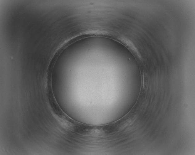 X0000073870204200608312101