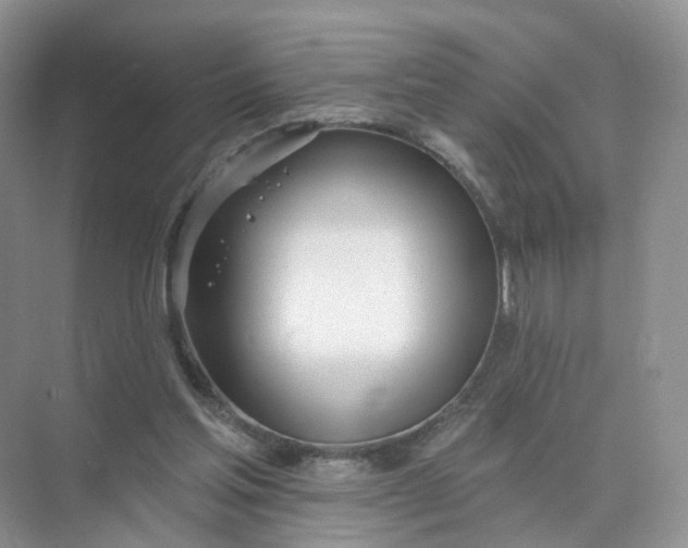 X0000073870205200608312101