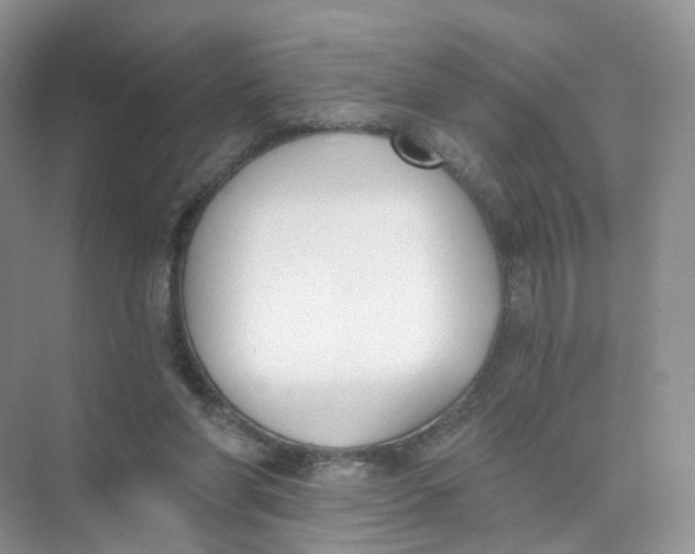 X0000073870206200608312101