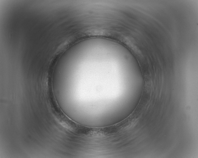 X0000073870207200608312101