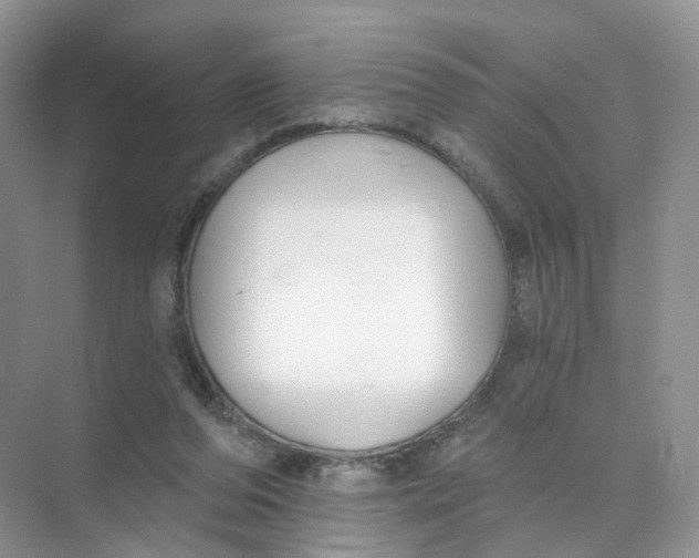 X0000073870208200608312101