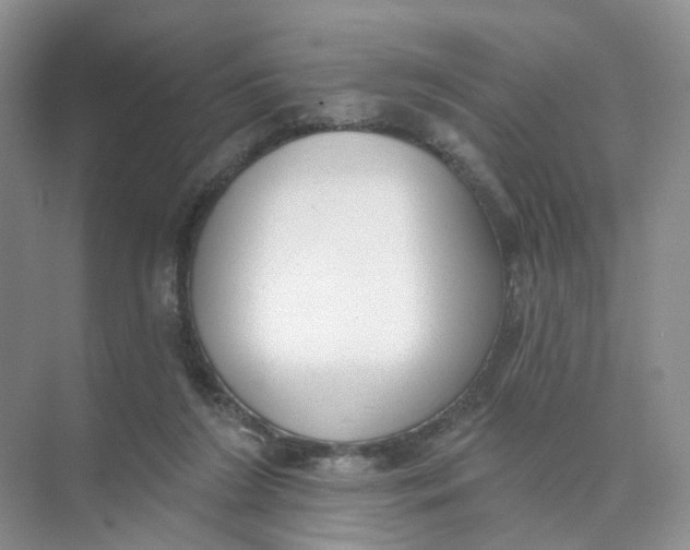 X0000073870212200608312101