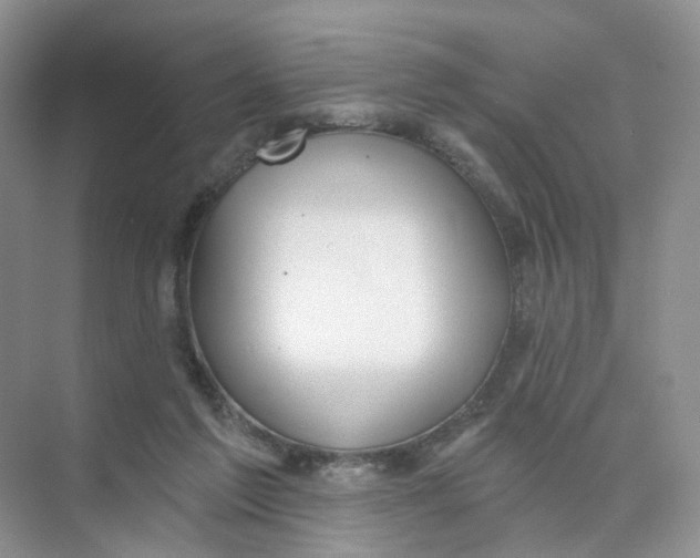 X0000073870213200608312101