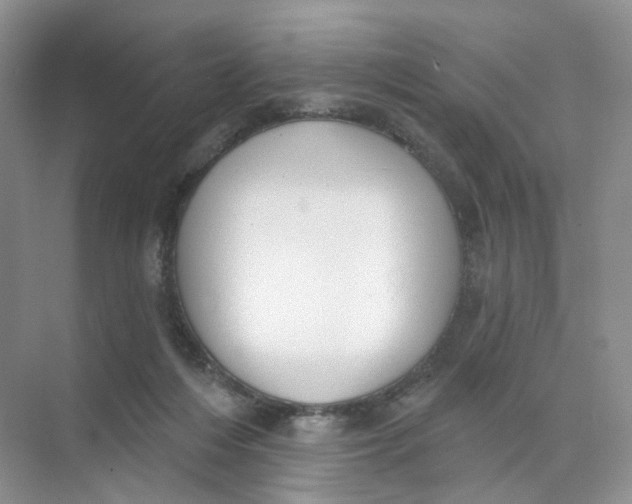 X0000073870216200608312101