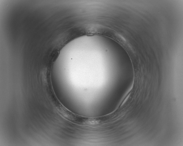 X0000073870217200608312101