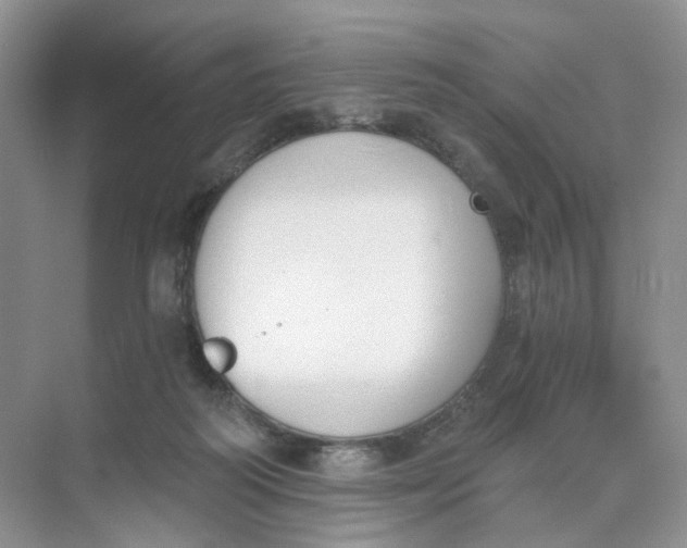 X0000073870218200608312101